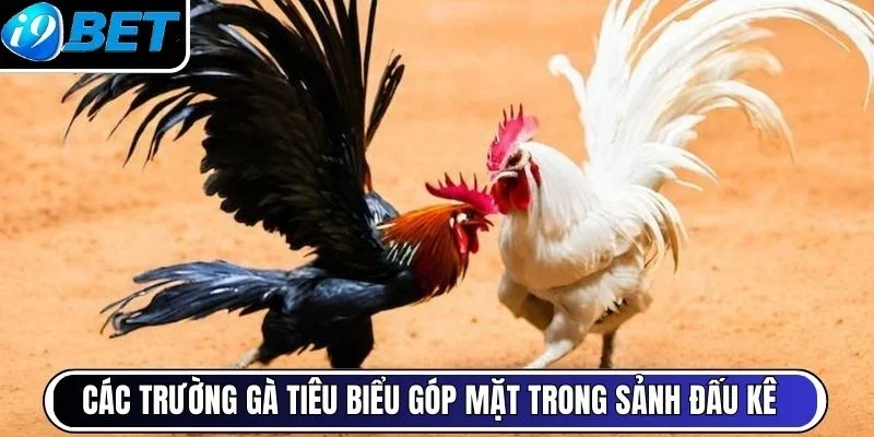 Các trường gà tiêu biểu góp mặt trong sảnh đấu kê