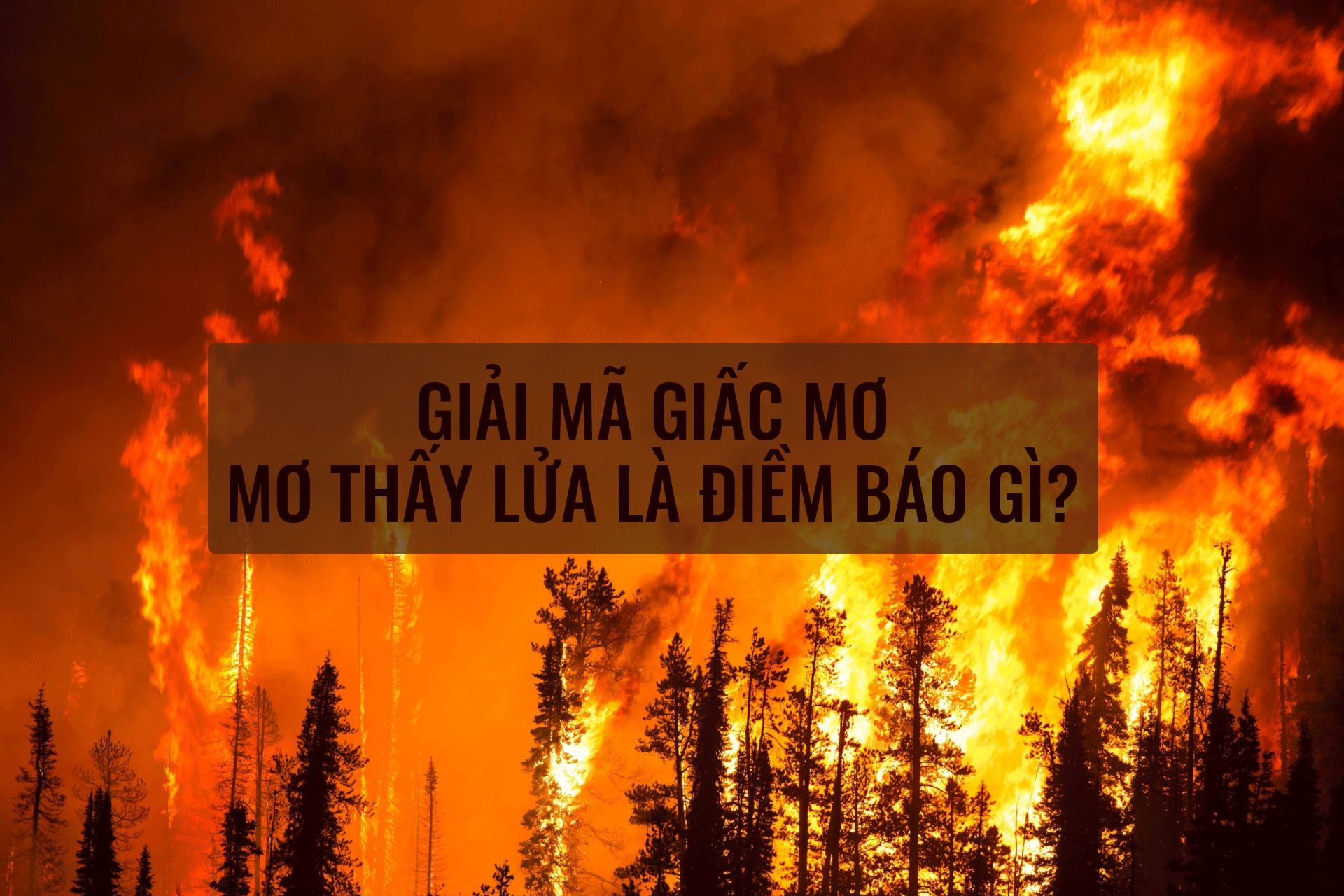 Ý nghĩa biểu tượng của lửa trong văn hóa