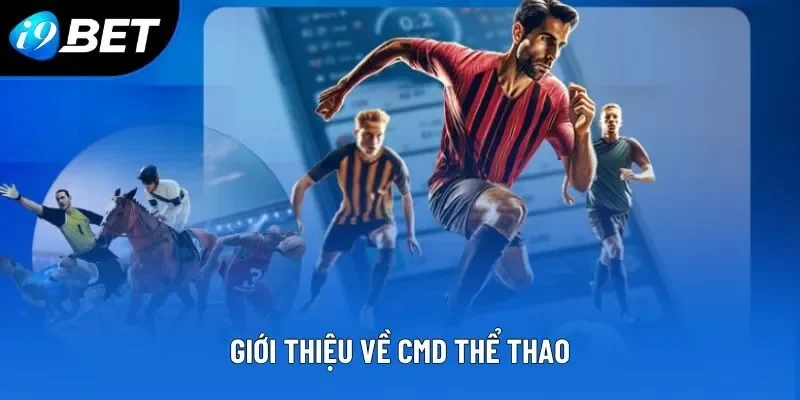 Vai trò của thống kê nhận định soi kèo bóng đá trực tuyến