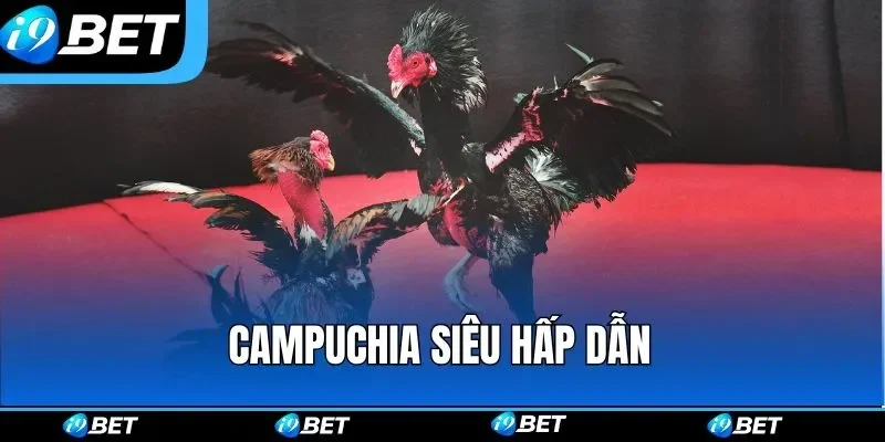 da ga i9bet campuchia
