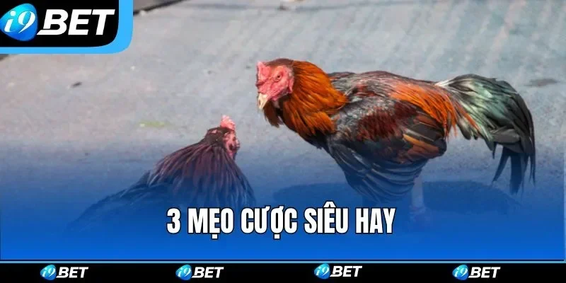 Cần thận trọng với các nội dung quảng cáo