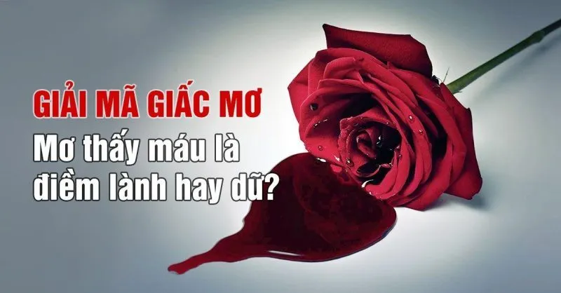Ngủ mơ thấy máu nghĩa dưới nhiều khía cạnh 2026