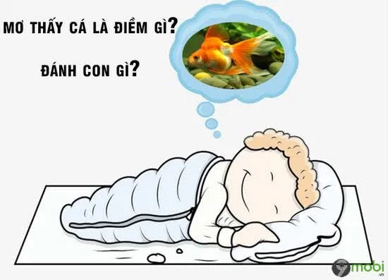 Nằm mơ thấy cá tổng quan ý nghĩa những điều cần biết 2 Nằm mơ thấy cá tổng quan ý nghĩa những điều cần biết