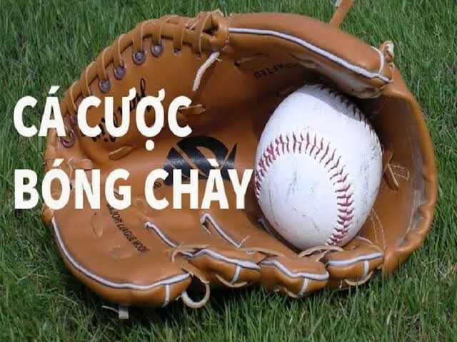 Cá cược bóng chày tổng quan thường gặp trong thể thao