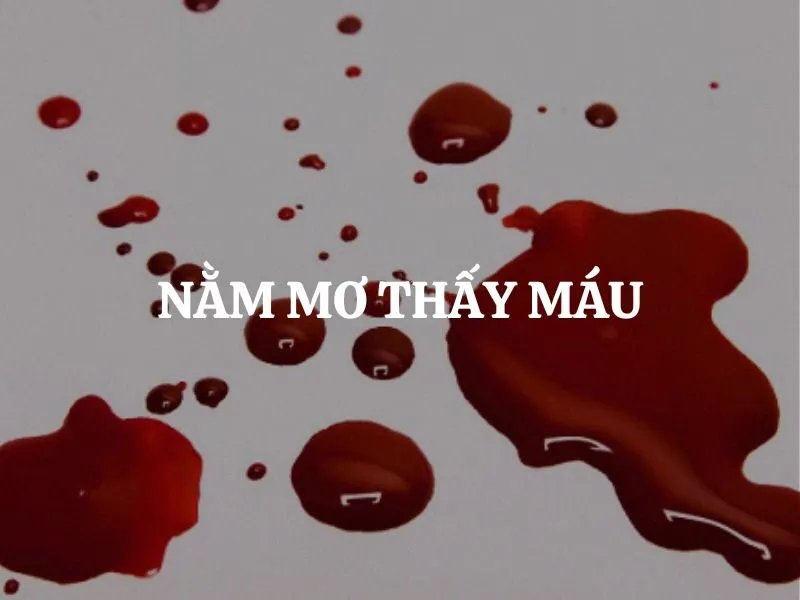 Hình ảnh máu trong văn hóa 
