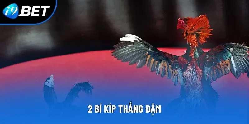 Những yếu tố khiến một trận đấu được xem là "kinh điển"